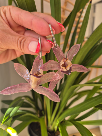 Pendientes orquidea Cymbidium