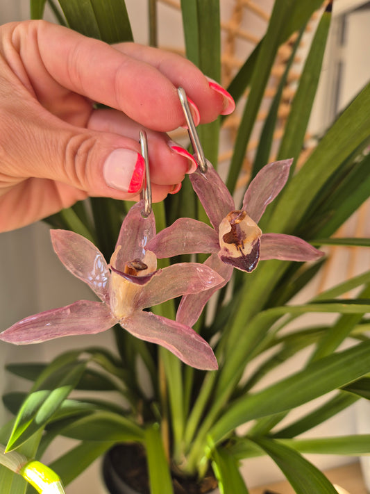 Pendientes orquidea Cymbidium