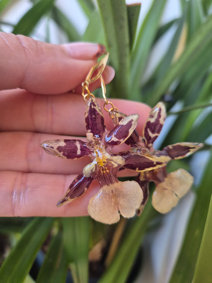 Pendientes orquidea Cambria