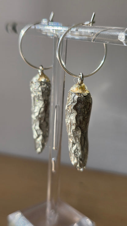 Pendientes de Chile