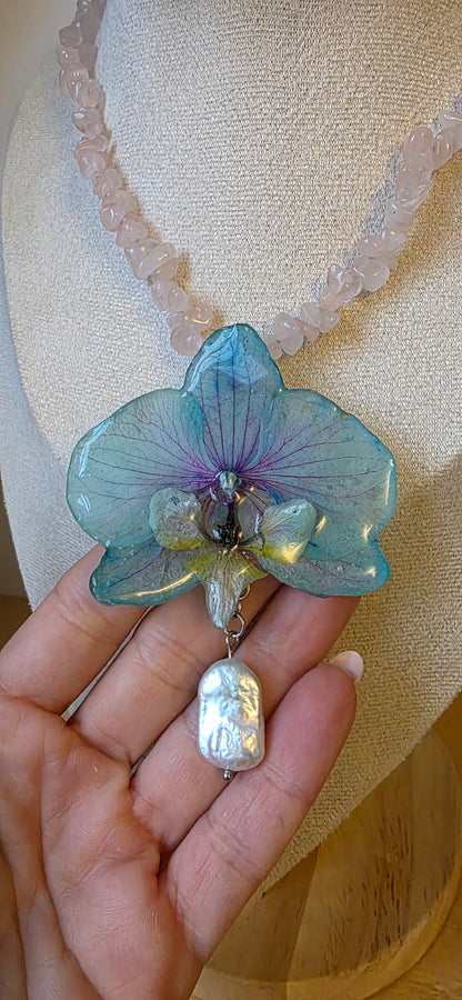 Colgante orquídea Phalaenopsis