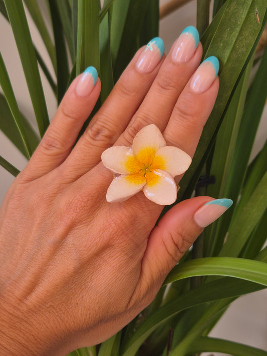 Anillo plumeria blanca