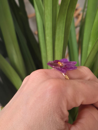 Anillo orquidea Phalaenopsis