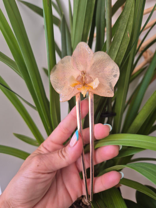 Horquilla de orquidea real
