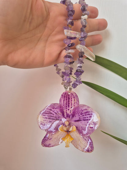 Colgante orquídea  Phalaenopsis