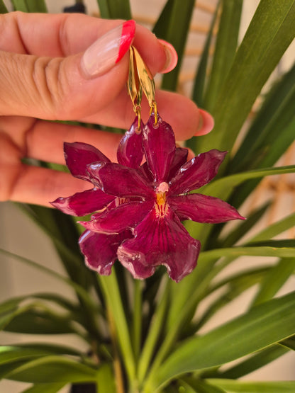 Pendientes orquidea cambria