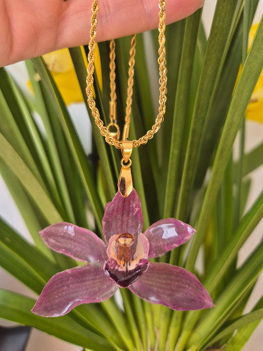 Colgante Orquídea Cymbidium