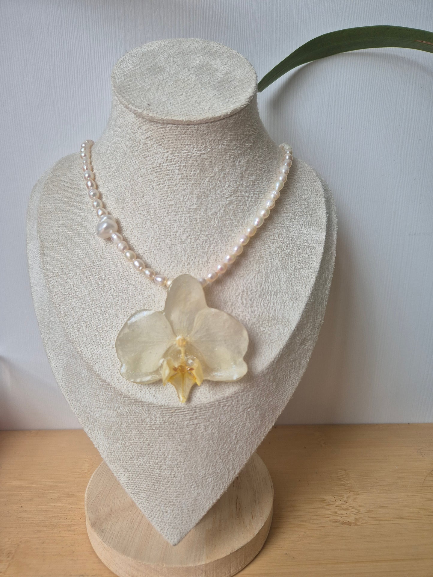 Collar de perlas y orquidea Phalaenopsis
