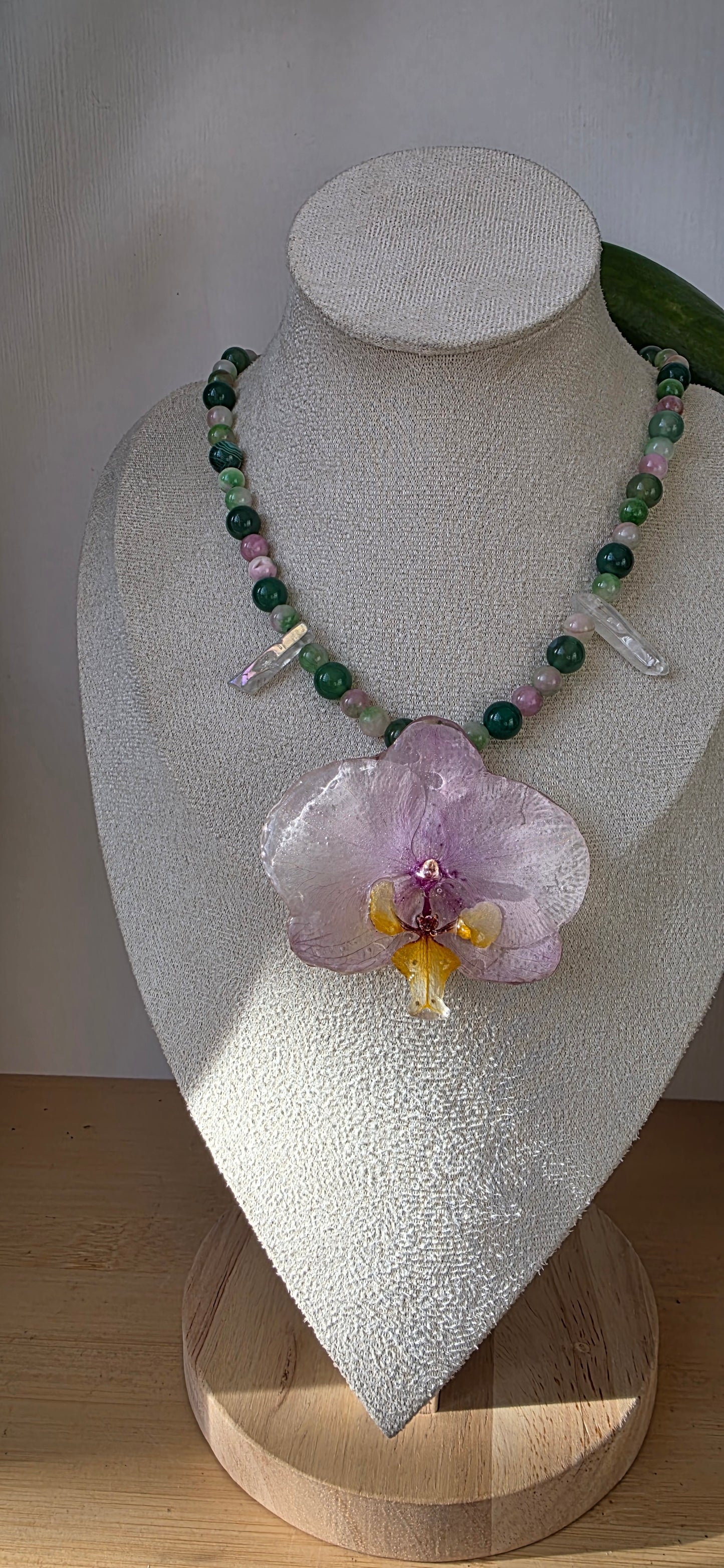 Colgante orquídea Phalaenopsis