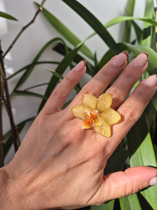 Anillo orquidea amarilla