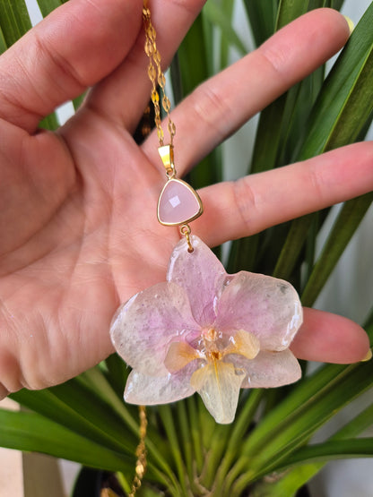 Colgante orquidea Phalaenopsis