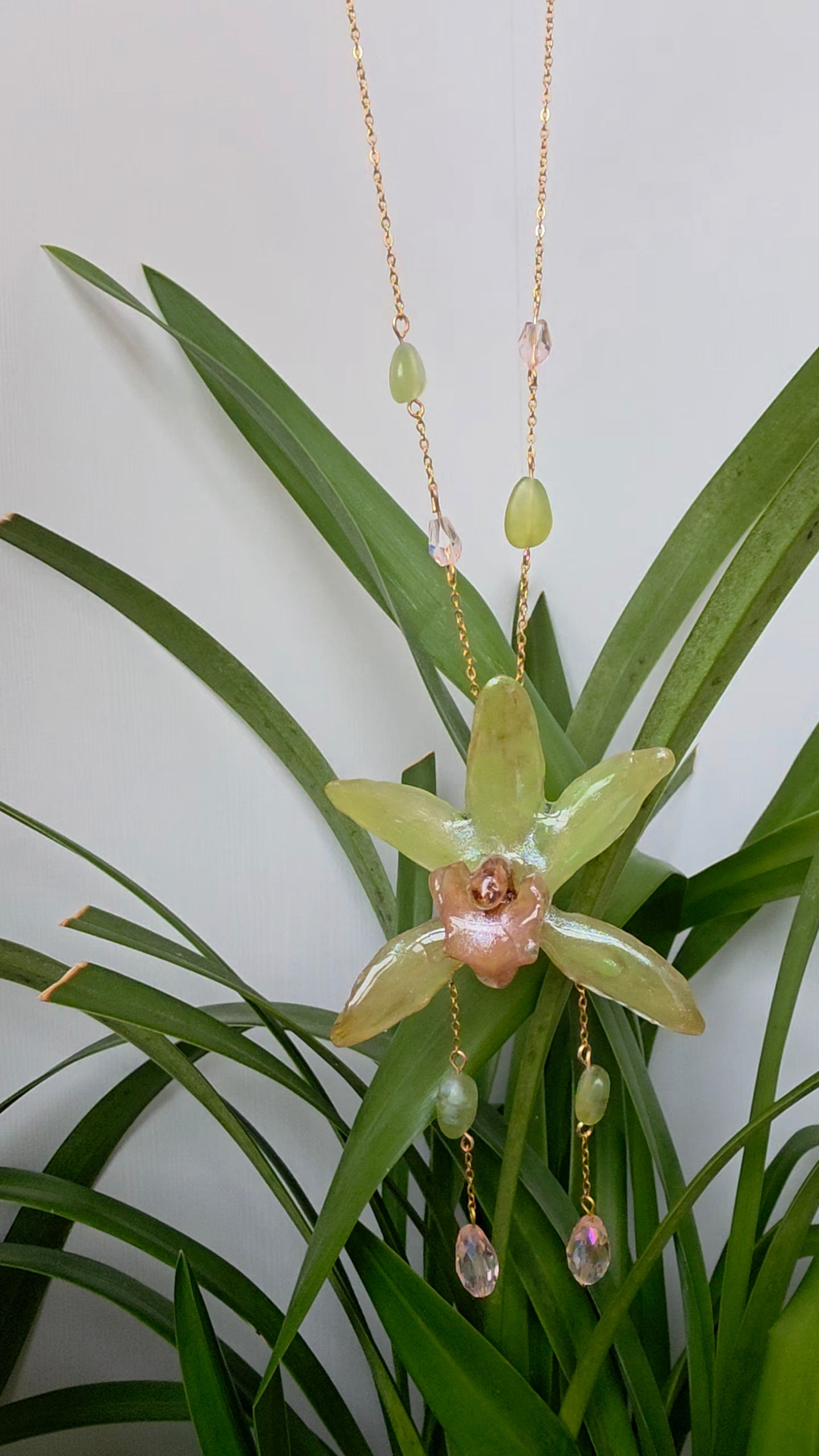 Colgante de orquidea real