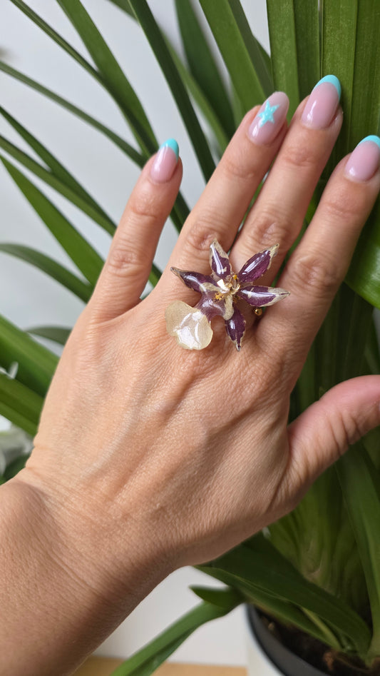 Anillo orquidea Cambria mini