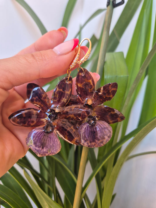 Pendientes orquídea Zygopetalum