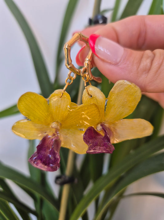 Pendientes orquídea Dendrobium
