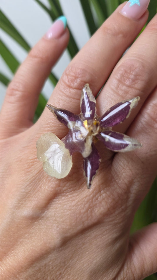 Anillo orquidea Cambria mini