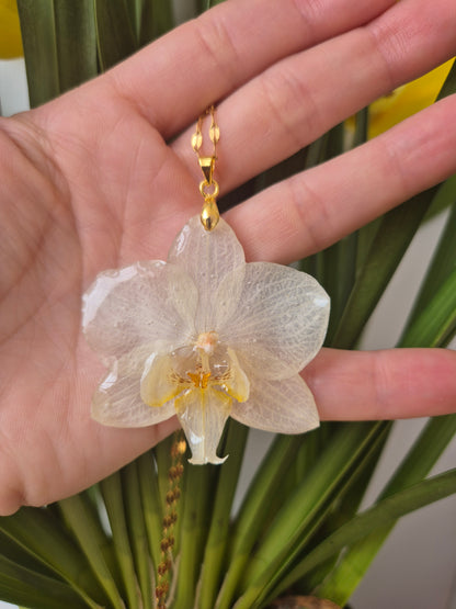 Colgante orquídea blanca