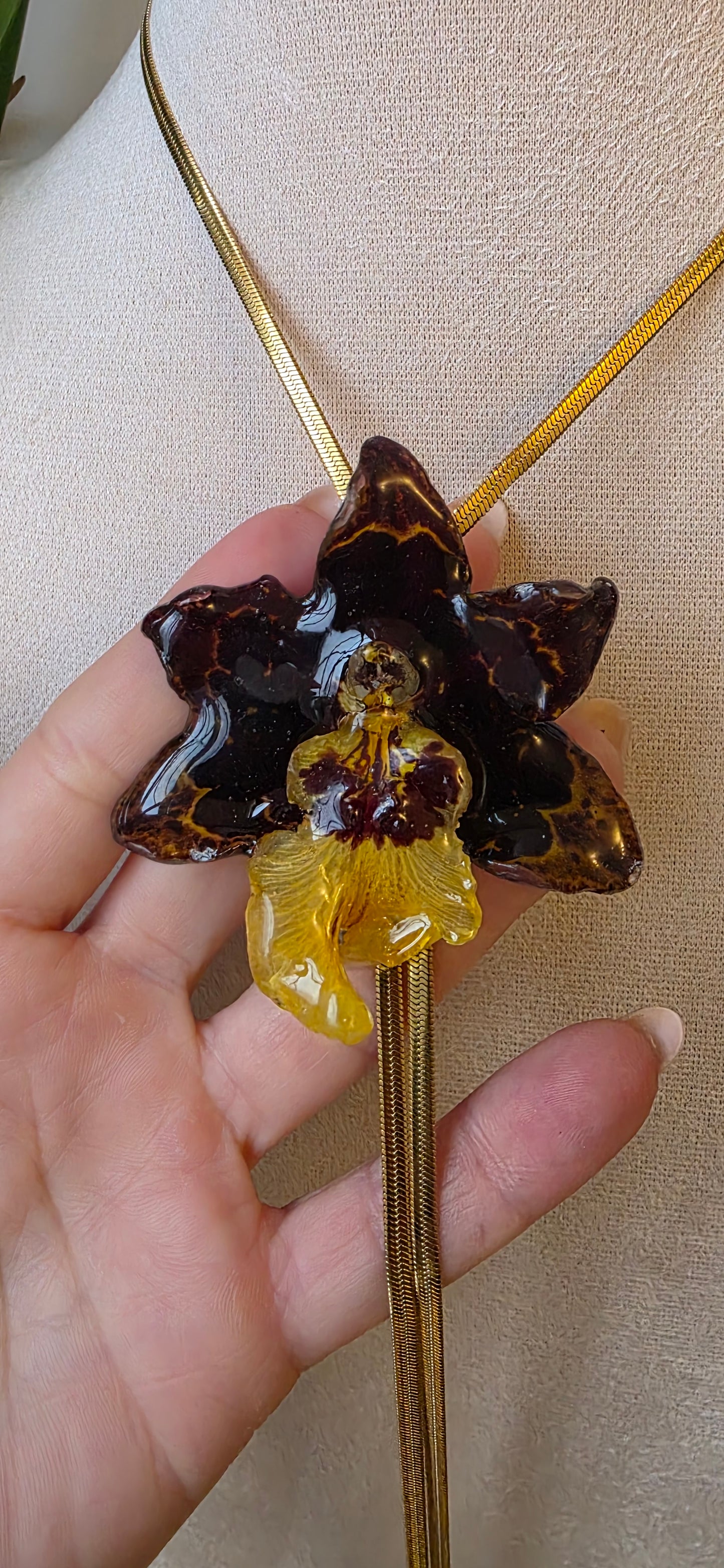 Collar regulable de orquidea Colmanara