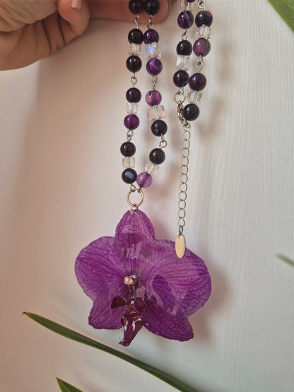 Colgante orquídea  Phalaenopsis morado