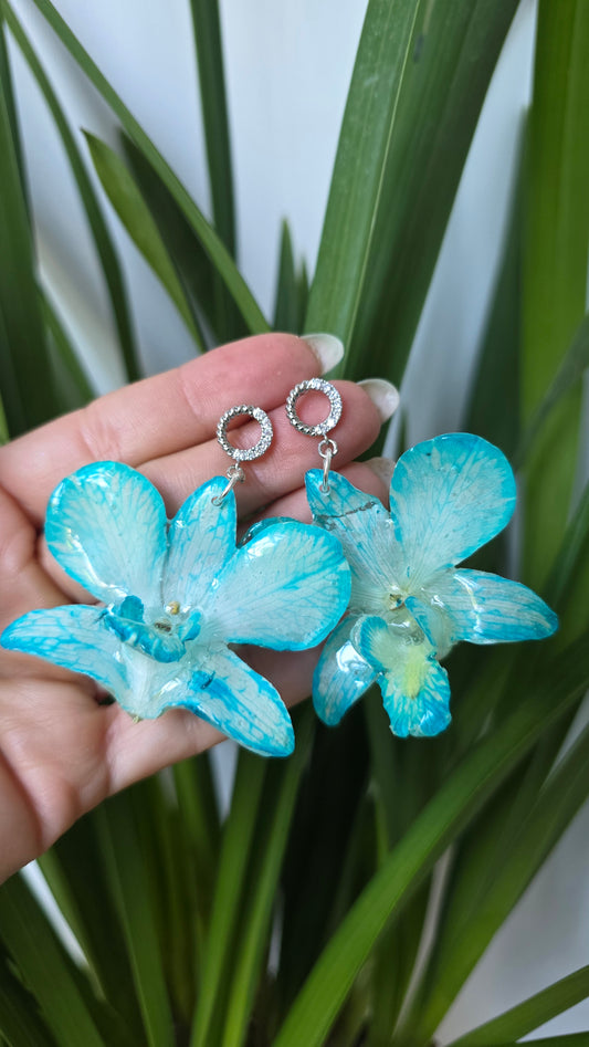 Pendientes orquídea Dendrobium.