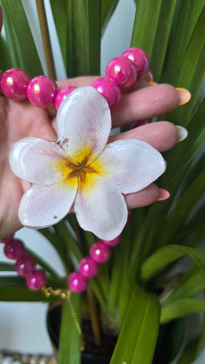 Collar Pink Paradise