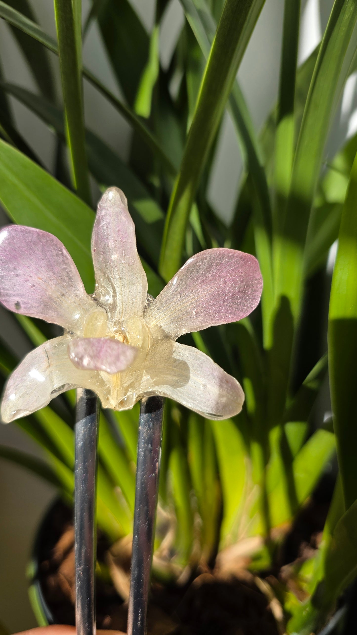 Horquilla de orquidea
