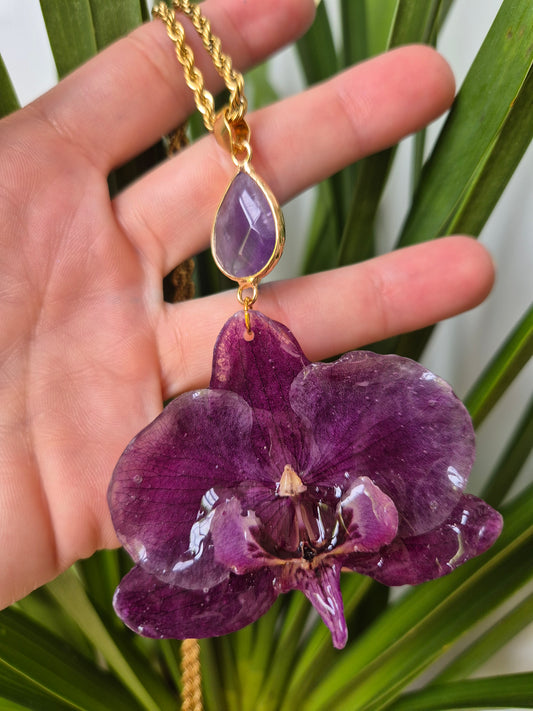 Colgante orquidea Phalaenopsis