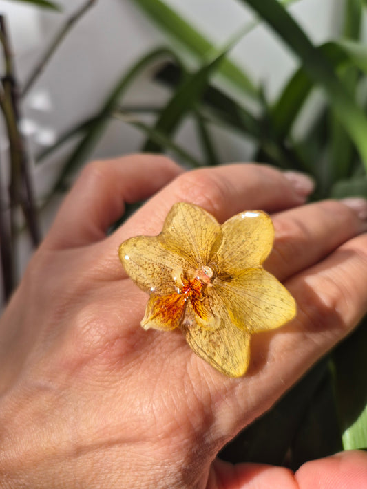 Anillo orquidea amarilla