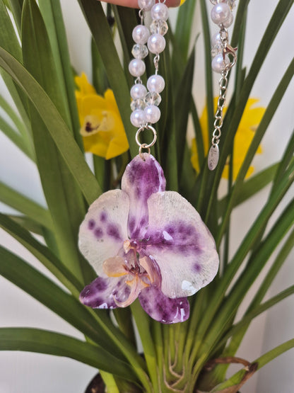Colgante orquídea  Phalaenopsis