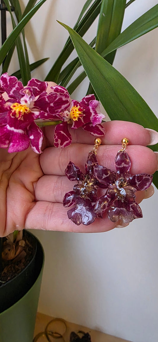Pendientes orquidea Oncidium mini