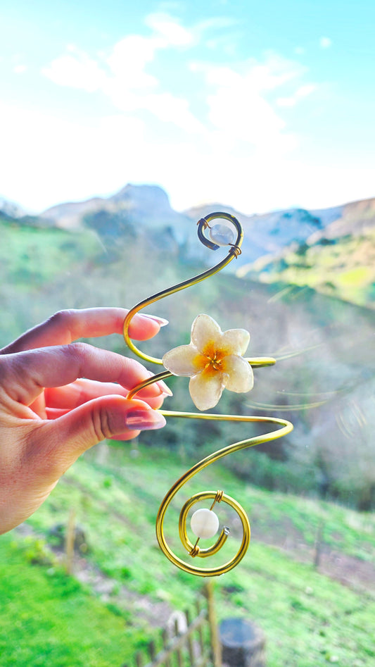 Brazalete con flor natural