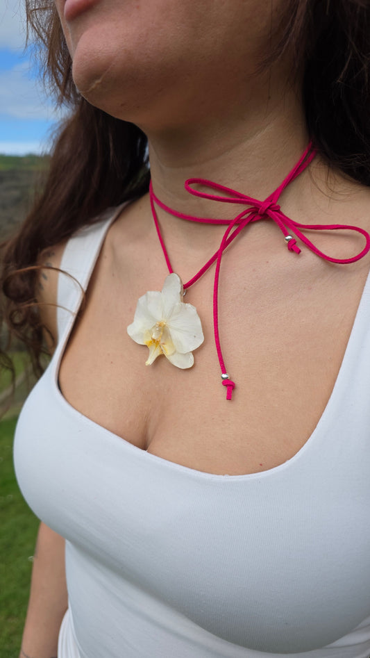 Collar regulable multiposición