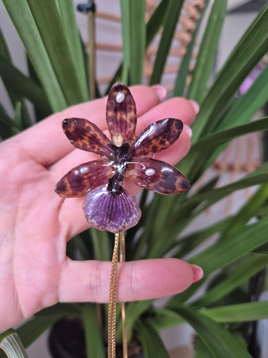 Colgante regulable de orquídea Cambria