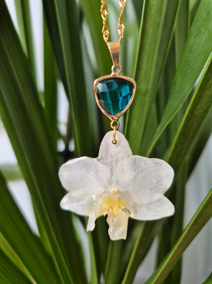 Colgante orquidea Phalaenopsis