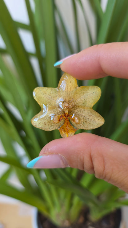 Pendientes orquidea mini