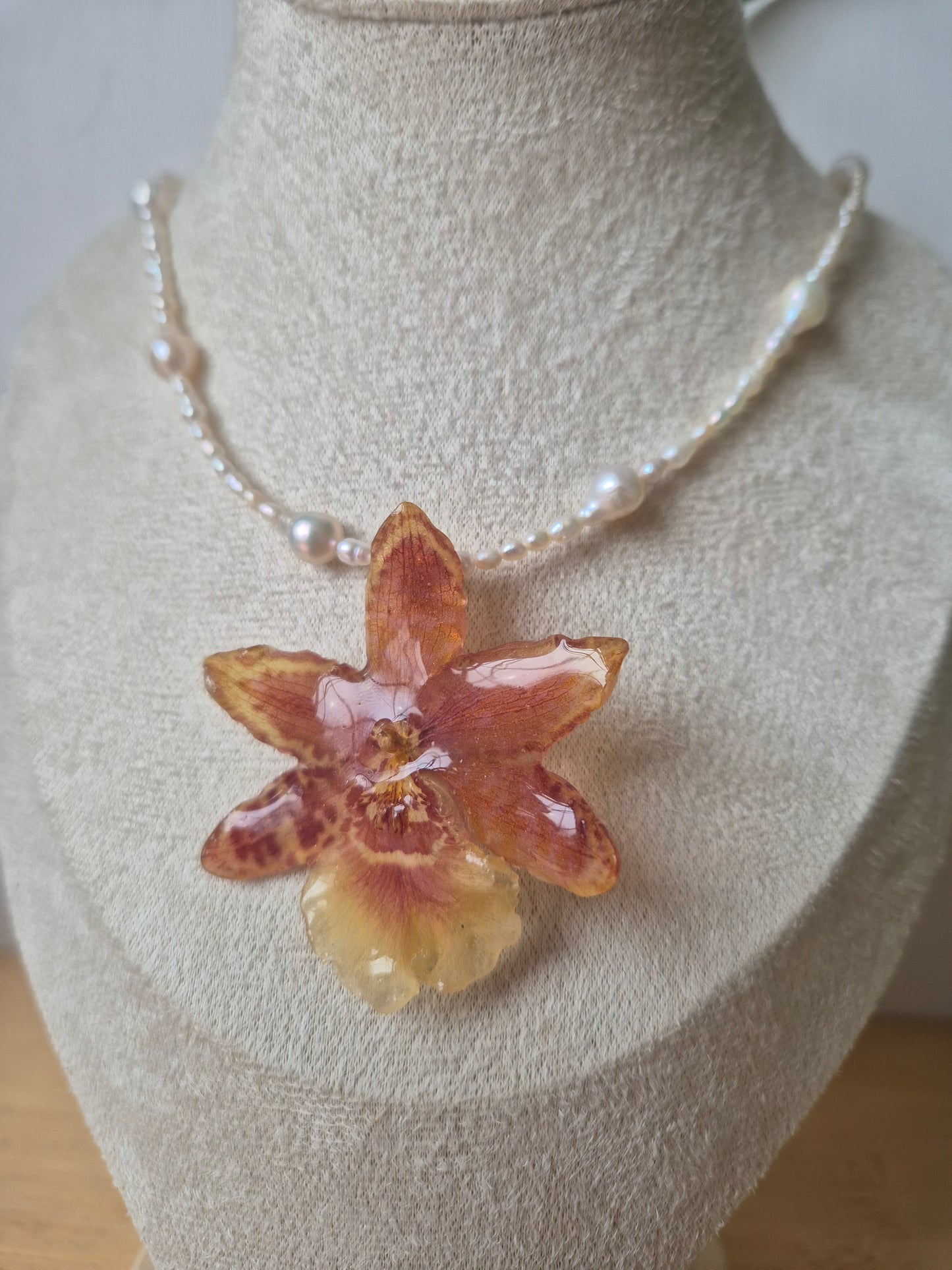 Collar de perlas y orquidea Cambria