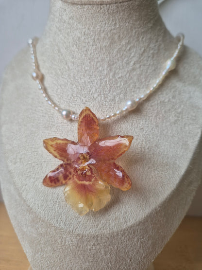 Collar de perlas y orquidea Cambria