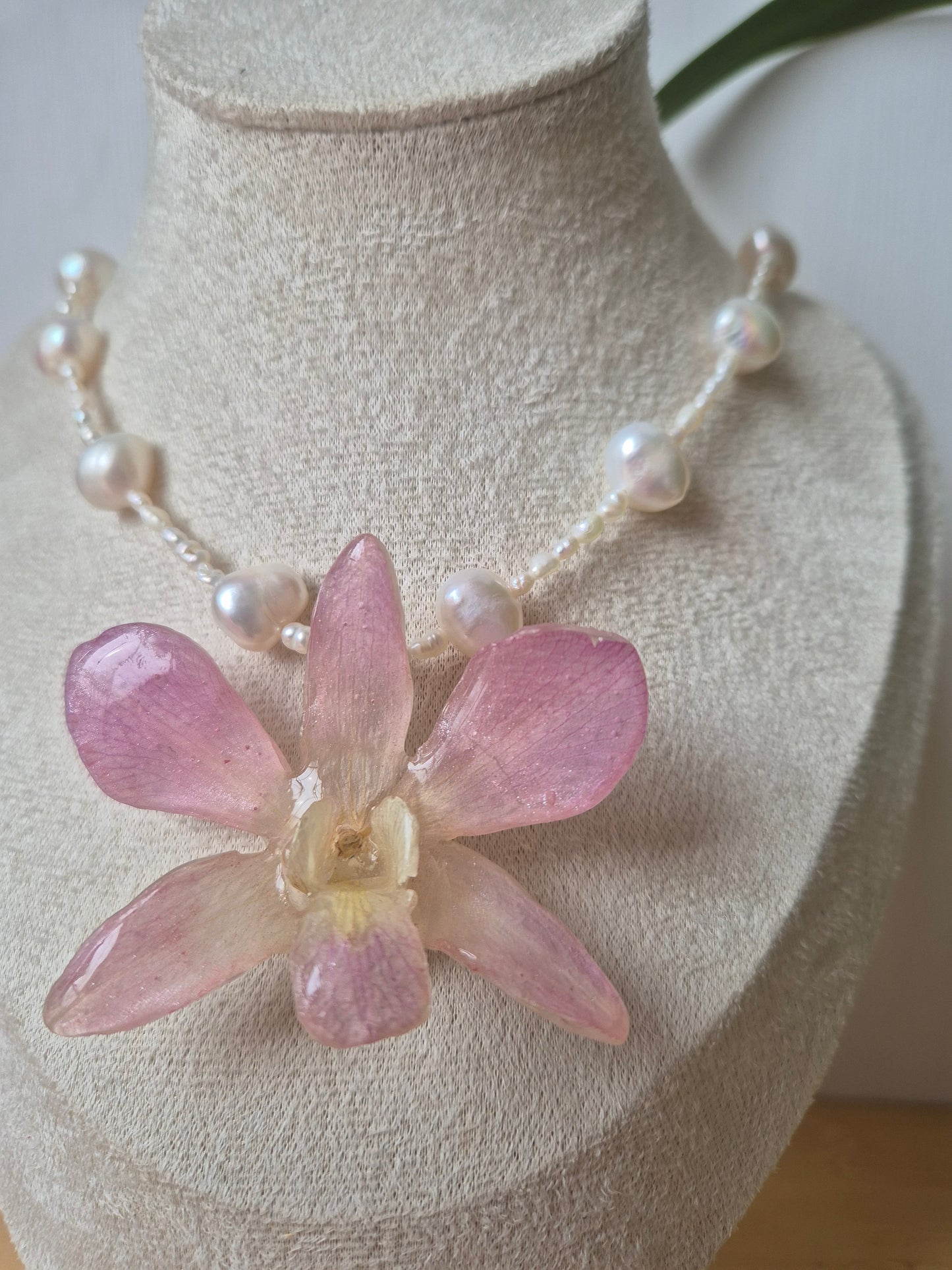 Collar de perlas y orquidea Dendrobium