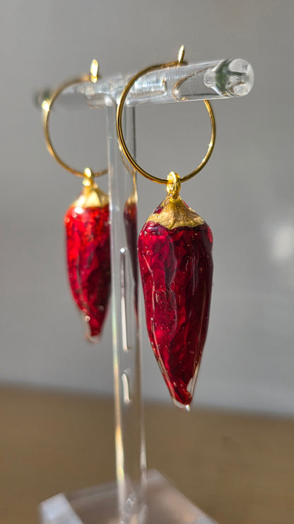 Pendientes de Chile
