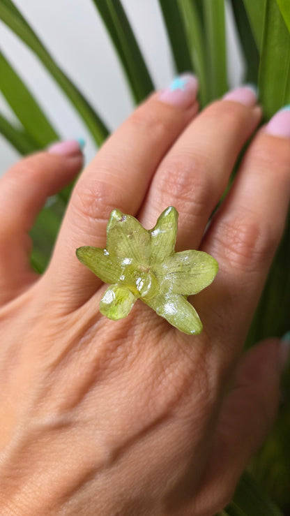 Anillo orquidea verde Dendrobium