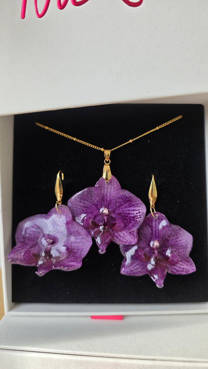 Conjunto orquidea Phalaenopsis
