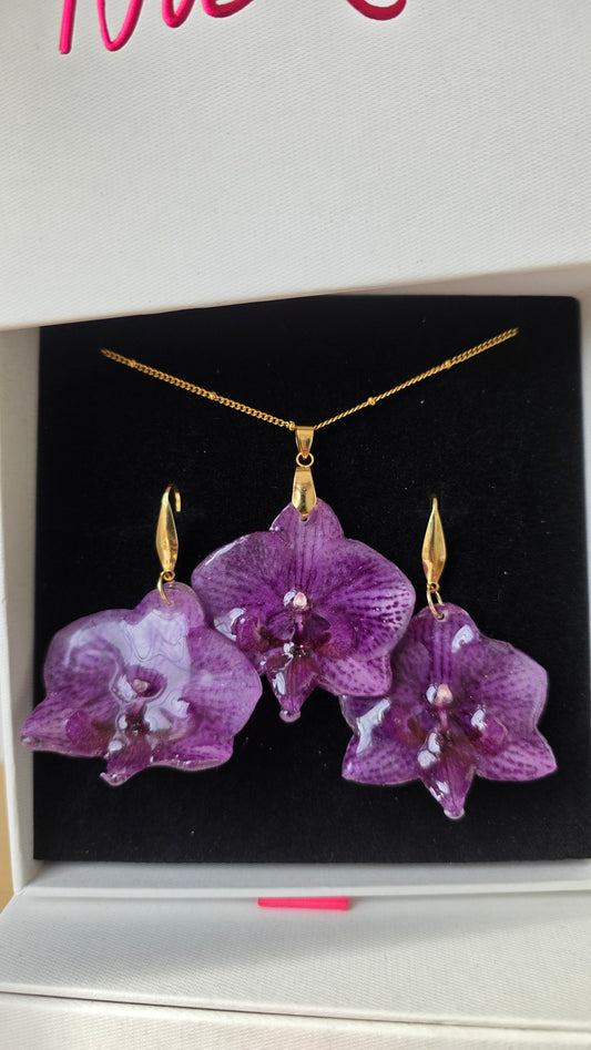 Conjunto orquidea Phalaenopsis