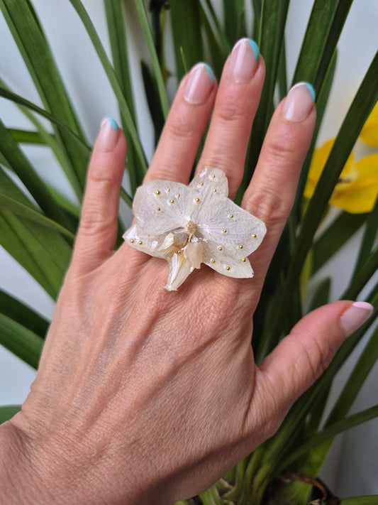 Anillo ajustable orquídea Phalaenopsis