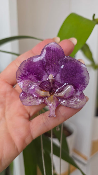 Collar regulable de orquidea.