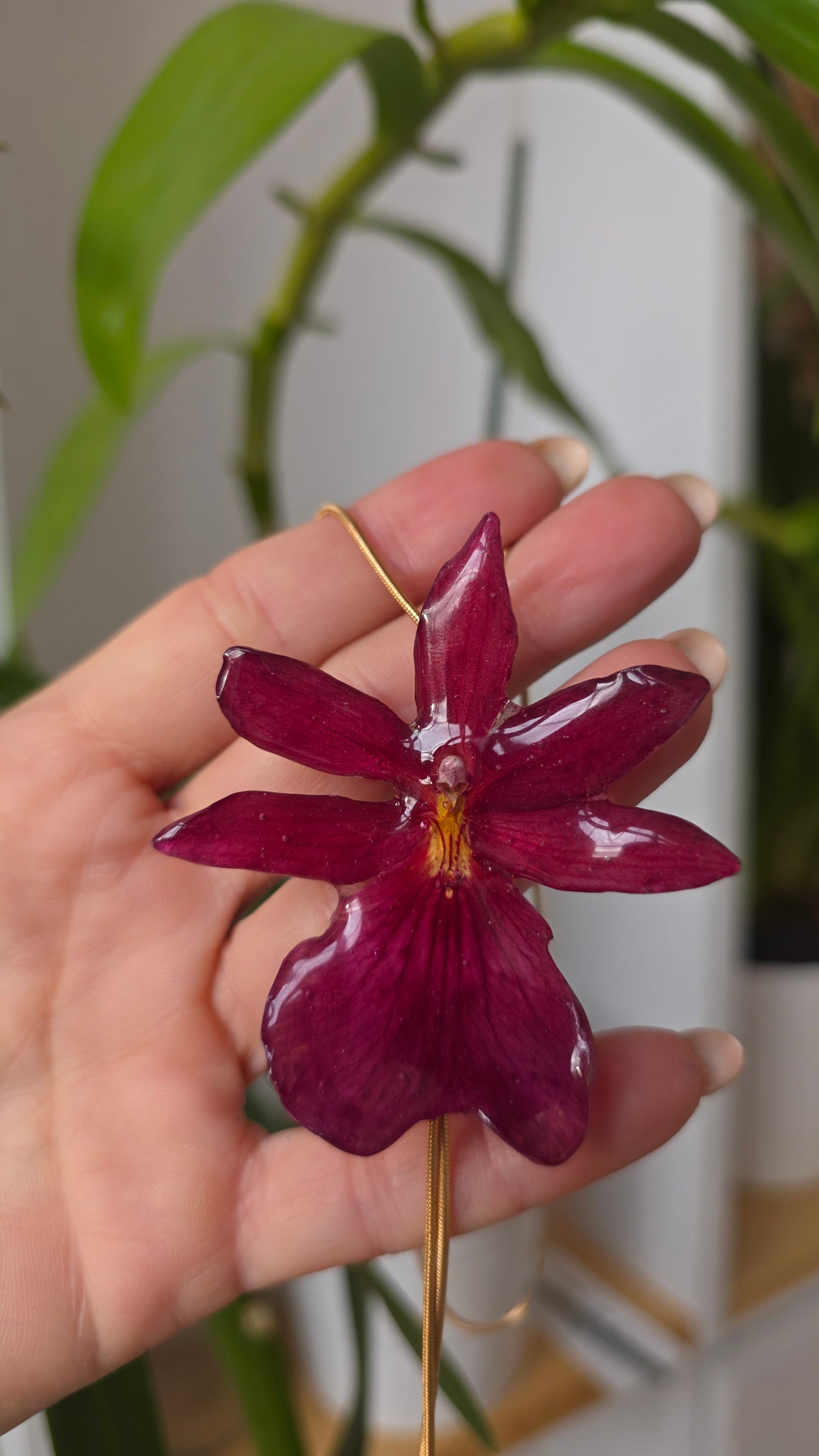 Collar regulable de orquidea.