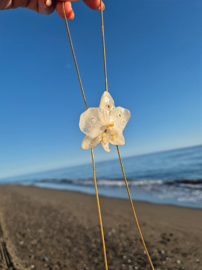 Colgante regulable de orquídea Phalaenopsis
