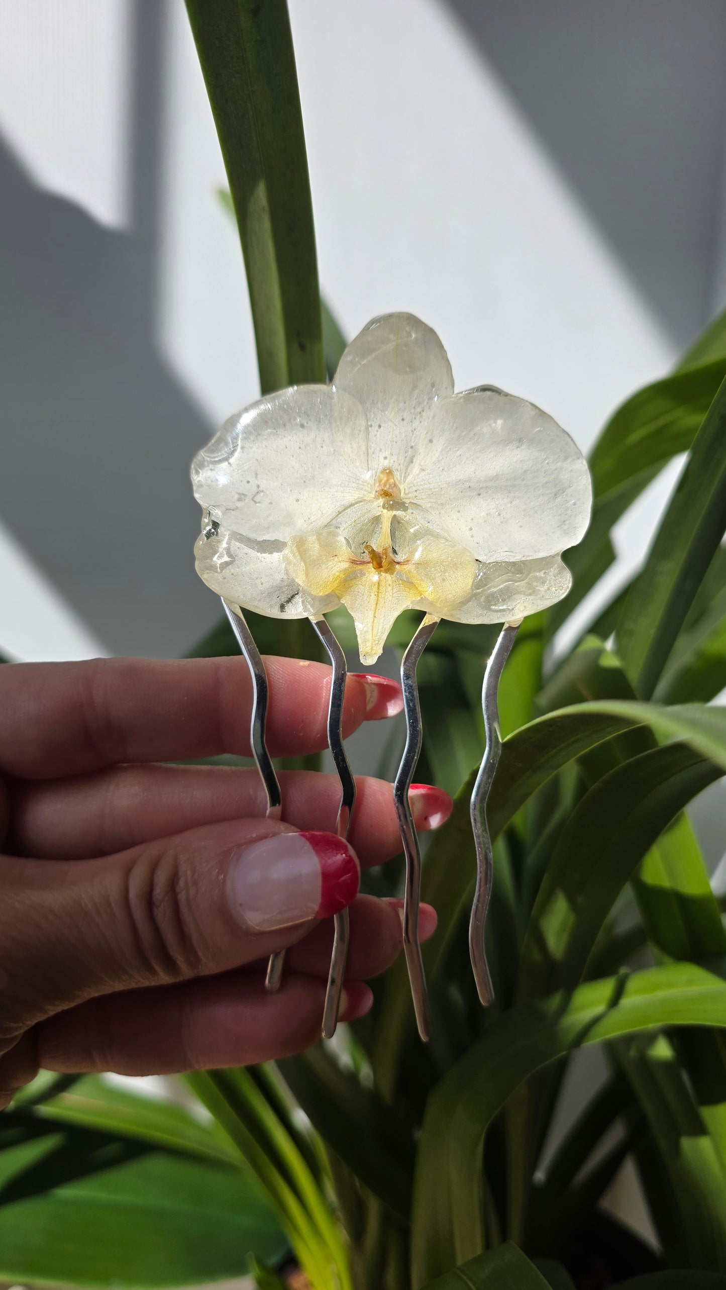 Horquilla de orquidea real