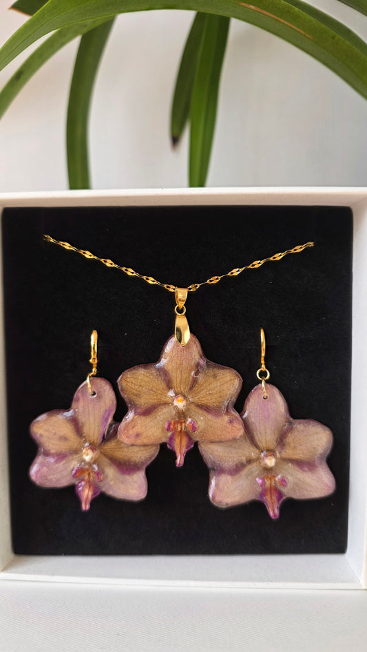 Conjunto orquidea Phalaenopsis