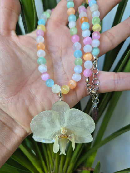 Colgante orquídea  Phalaenopsis blanca
