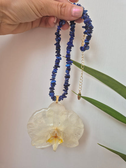Colgante orquídea  Phalaenopsis